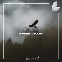 Скачать песню Barış Çakır - Low