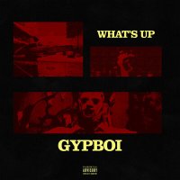 Скачать песню GypBoi - WHAT'S UP