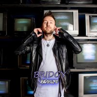 Скачать песню Bridgy - Radiolife