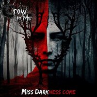 Скачать песню Crow In Me - Miss Darkness come