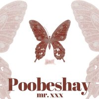 Скачать песню Mr.xxx - Poobeshay