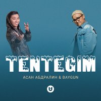 Скачать песню Асан Абдралин, Baygun - Tentegim