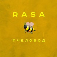 Скачать песню RASA - Пчеловод