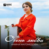 Скачать песню Амина Магомедова - Огонь любви