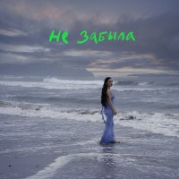Скачать песню Ольга Серябкина - Не забыла (Index-1 Remix)