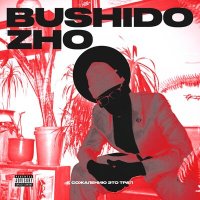 Скачать песню Bushido Zho - Злая тварь