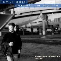 Скачать песню Egor Svezhentcev - Tamulionis: Perpetuum Mobile