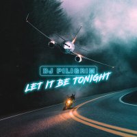Скачать песню DJ Piligrim - Let It Be Tonight