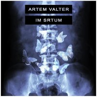 Скачать песню Artem Valter - Im Srtum