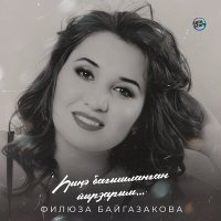 Скачать песню Филюза Байгазакова, Айдар Хамзин - Кайҙа һин