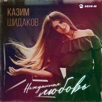 Скачать песню Казим Шидаков - Нежданная любовь