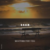 Скачать песню DNDM, Umar Keyn - Waiting For You