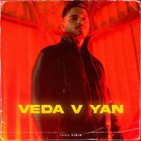 Скачать песню Taha Yığın - Veda V Yan