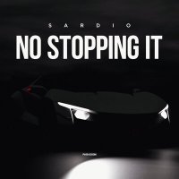Скачать песню SARDIO - No Stopping It