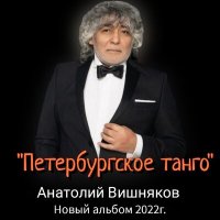 Скачать песню Анатолий Вишняков - Мягкая волна