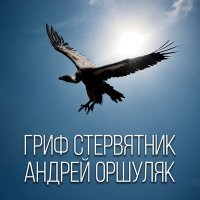 Скачать песню Андрей Оршуляк - Гильза