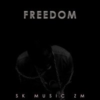 Скачать песню SK Music ZM - Freedom