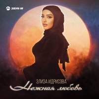 Скачать песню Элиза Идрисова - Нежная любовь