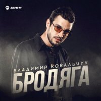 Скачать песню Владимир Ковальчук - Бродяга