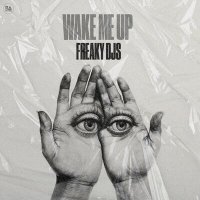 Скачать песню Freaky DJs - Wake Me Up