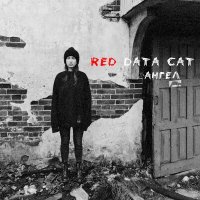 Скачать песню Red Data Cat - Ангел