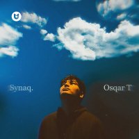 Скачать песню Osqar T - Synaq