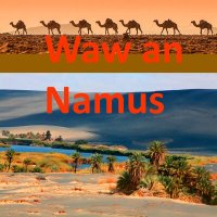Скачать песню Iurii Kuligin - Waw an Namus