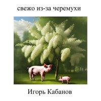 Скачать песню Игорь Кабанов - Символ свободы