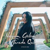 Скачать песню Aygün MM - Neynim / Gülüm / Harada Qalmısan