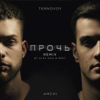 Скачать песню TERNOVOY, AMCHI - Прочь (Alex Shik & MeeT Radio Edit)