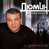Скачать песню Александр Дюмин - Стужа зима