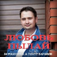 Скачать песню Тимур Вагапов, DJ Polkovnik - Любовь пылай