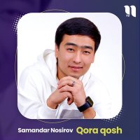 Скачать песню Samandar Nosirov - Qora qosh