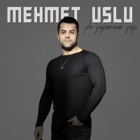 Скачать песню Mehmet Uslu - Ne Yaparsan Yap