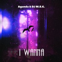 Скачать песню Agunda, DJ M.E.G. - I Wanna
