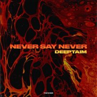 Скачать песню DEEPTAIM - Never Say Never