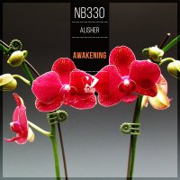 Скачать песню Alisher - Awakening (Original Mix)