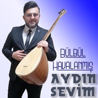 Скачать песню Aydın Sevim - Bülbül Havalanmış