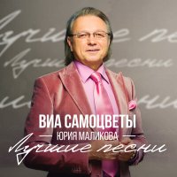 Скачать песню ВИА Самоцветы Юрия Маликова - Налетели вдруг дожди