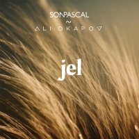 Скачать песню Son Pascal, Ali Okapov - jel