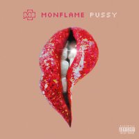 Скачать песню Monflame - Pussy