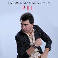 Скачать песню Сардор Мамадалиев - Pul