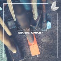 Скачать песню Barış Çakır - Bam Bam