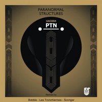 Скачать песню PTN - Paranormal Structures