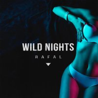 Скачать песню Rafal - Wild Nights (Vladi Remix)