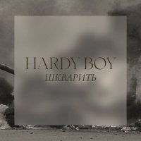 Скачать песню Hardy Boy - Шкварить