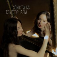 Скачать песню Sonic Twins - Cryptophasia
