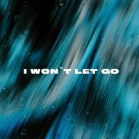 Скачать песню PVSHV - I Won't Let Go
