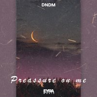 Скачать песню DNDM - Preassure on me