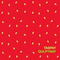 Скачать песню Taspay - Qulpynay